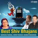 Best Shiv Bhajans - Anup Jalota Song Download